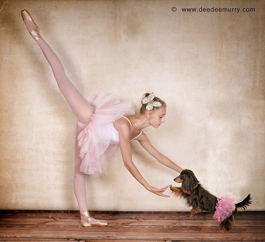 Hallie Art Dachshund Paintings