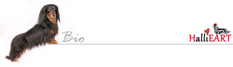 Hallie Dachshund Art