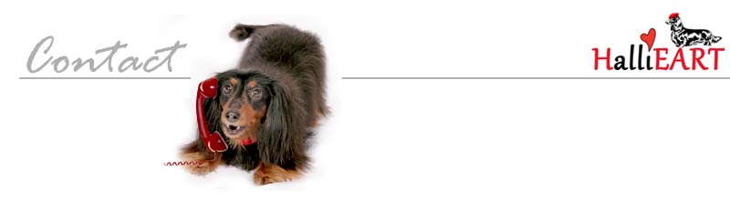 Hallie Dachshund Art