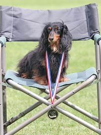 Hallie Art Schutzhund